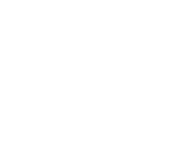 Choose Cary - Small Town. Urban Connections